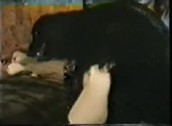 Video :Dog porno of two ladies take turns on having dog sex